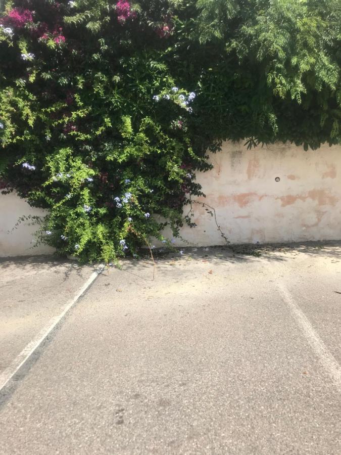 Studio 2 Adultes 2 Enfants Sanary Sur Mer A 800M De La Mer Exterior foto